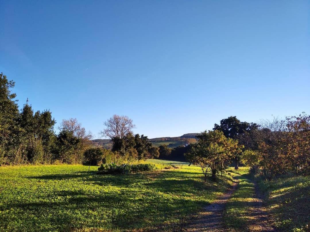 Albergue Casa Vacas Carriazo ภายนอก รูปภาพ